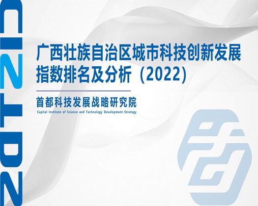 大胆屄网【成果发布】广西壮族自治区城市科技创新发展指数排名及分析（2022）